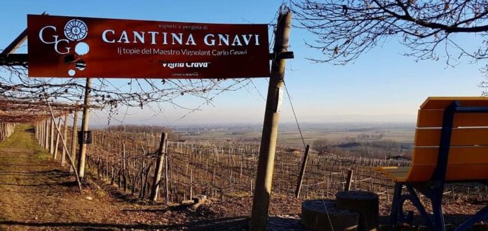 Cantina Gnavi Carlo